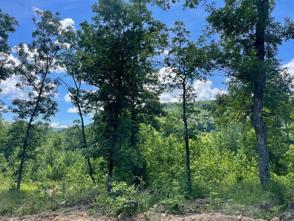Tract 14 Terrapin Road