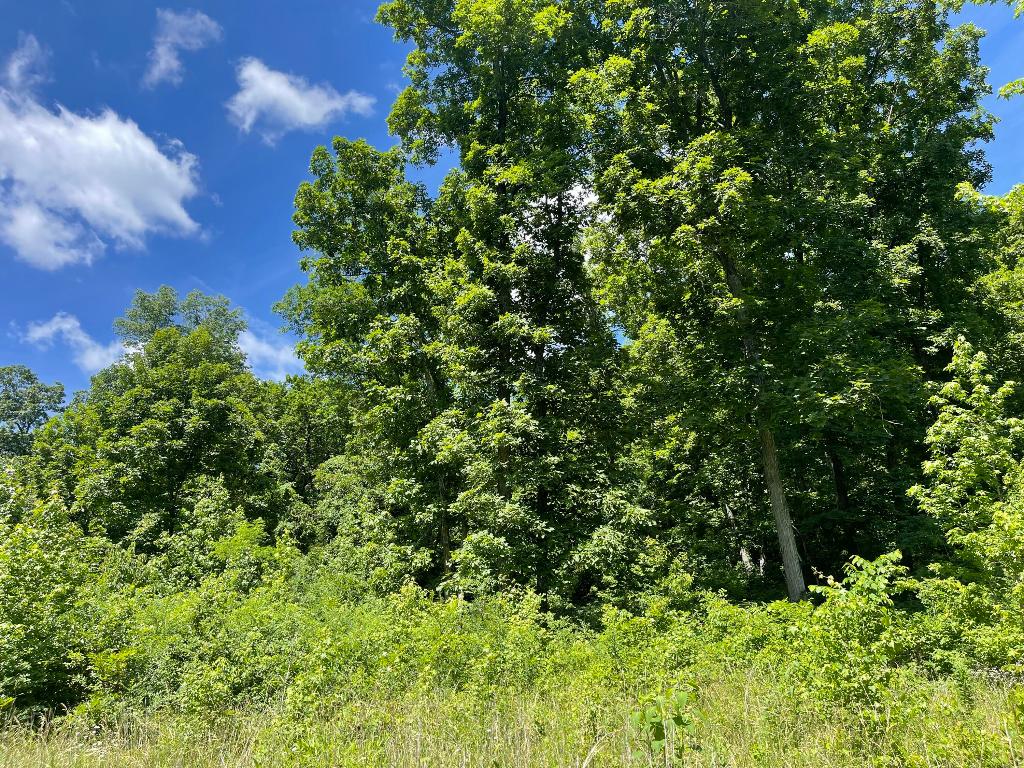 Tract 14 Terrapin Road