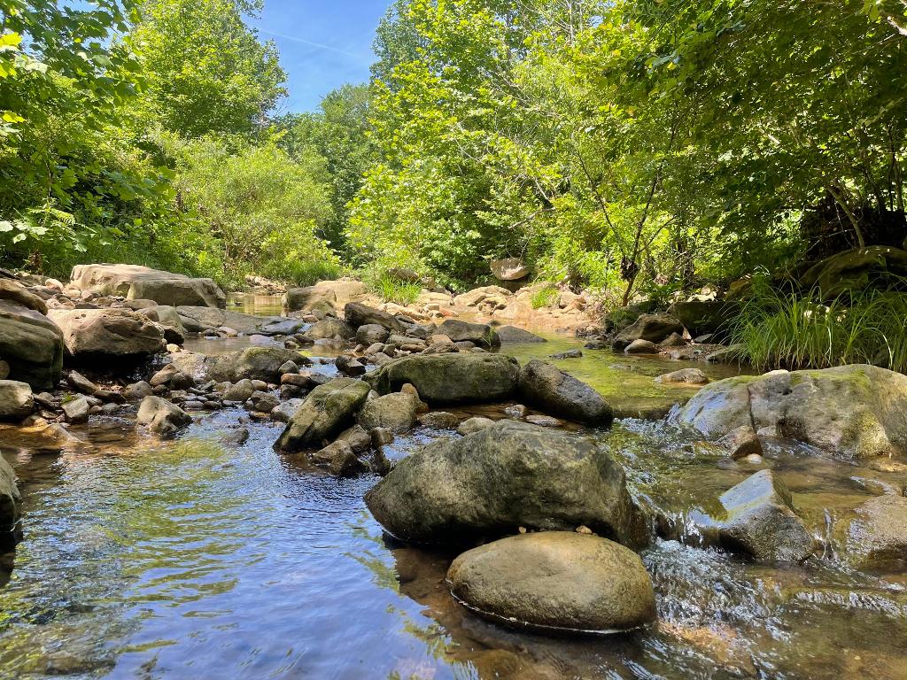 Tract 14 Terrapin Road