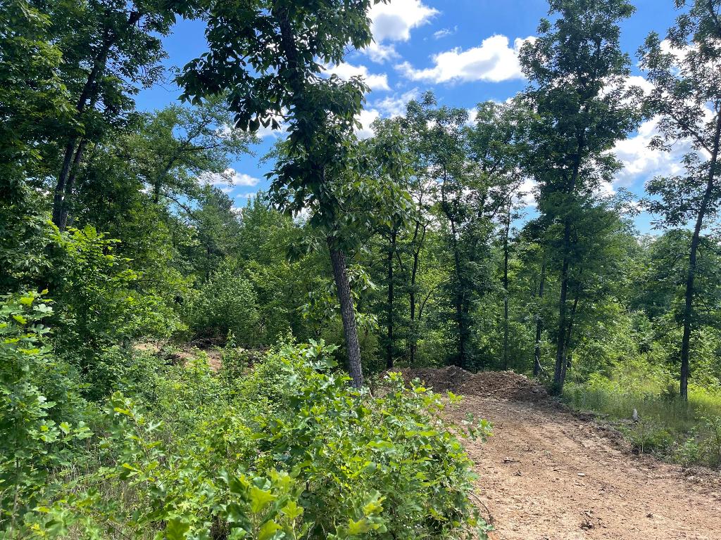 Tract 14 Terrapin Road