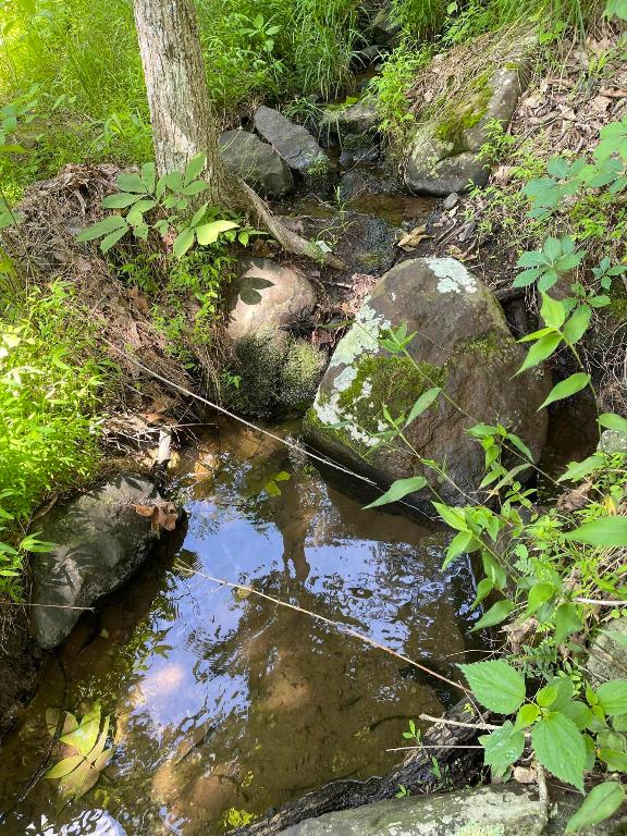 Tract 14 Terrapin Road