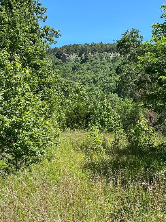 Tract 14 Terrapin Road