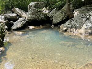 Tract 18 Terrapin Road