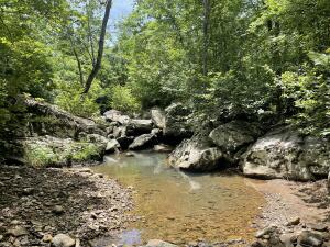 Tract 18 Terrapin Road