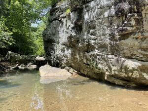 Tract 18 Terrapin Road