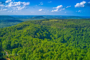 Tract 18 Terrapin Road