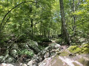 Tract 18 Terrapin Road
