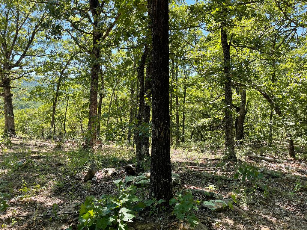 Lot 65 Round Mountain Estates