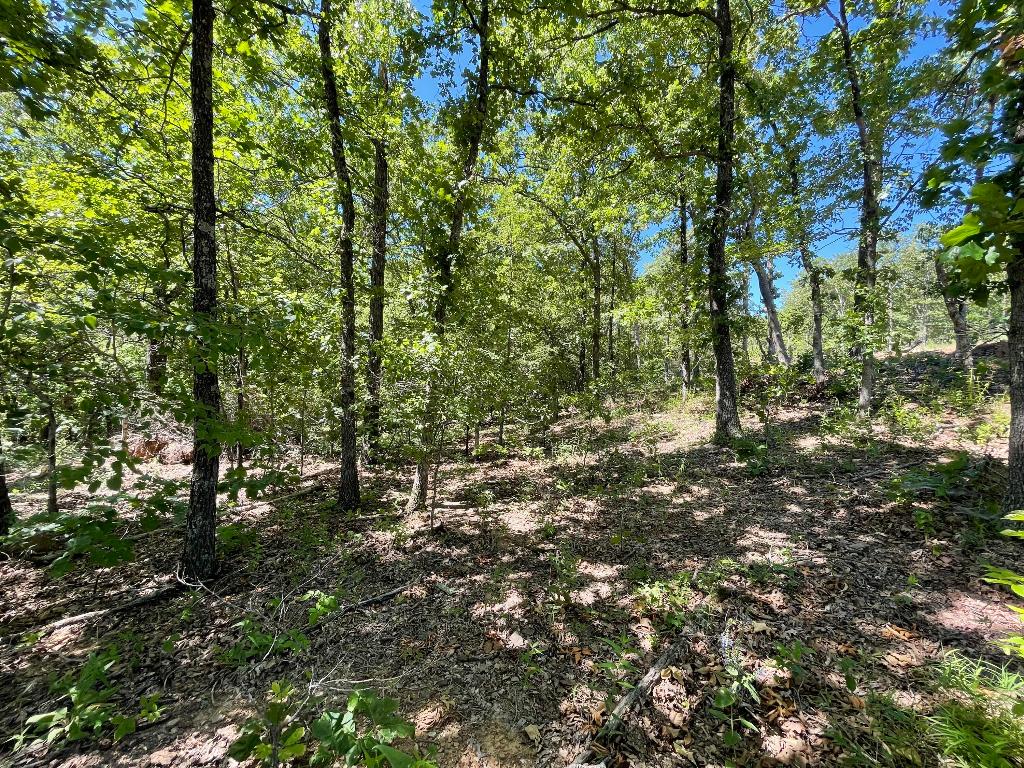 Lot 65 Round Mountain Estates