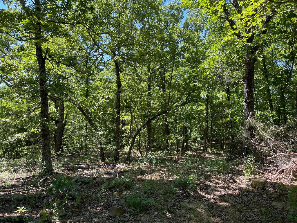 Lot 65 Round Mountain Estates