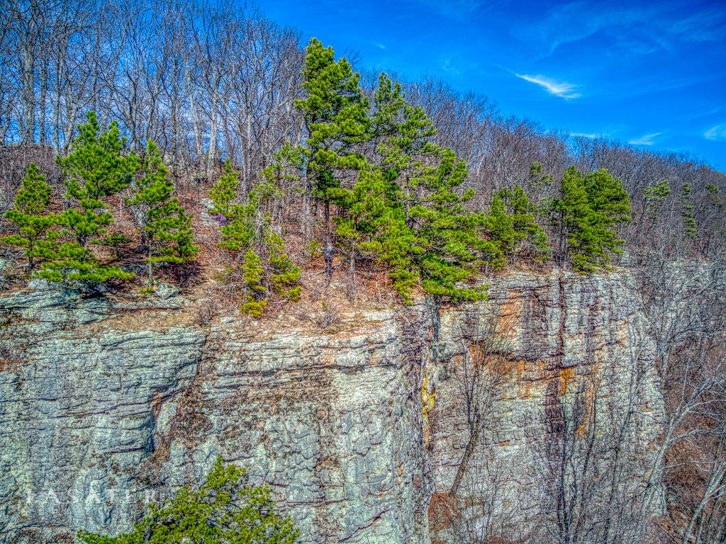 Lot 65 Round Mountain Estates
