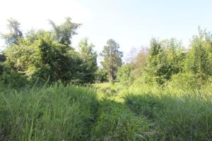 000 Capps Road