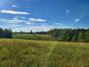 1672 W Mill Hollow Road
