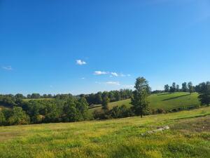 1672 W Mill Hollow Road