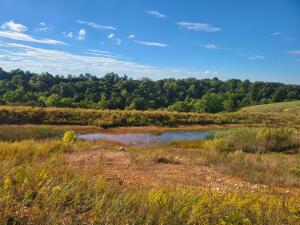 1672 W Mill Hollow Road