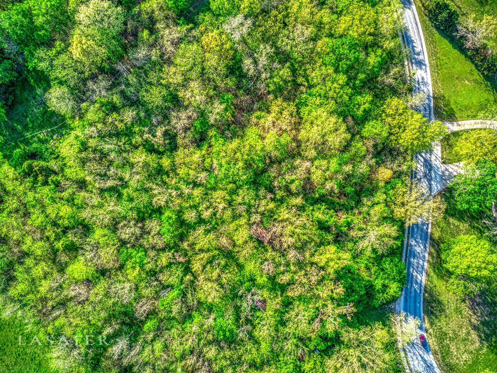Speer Drive