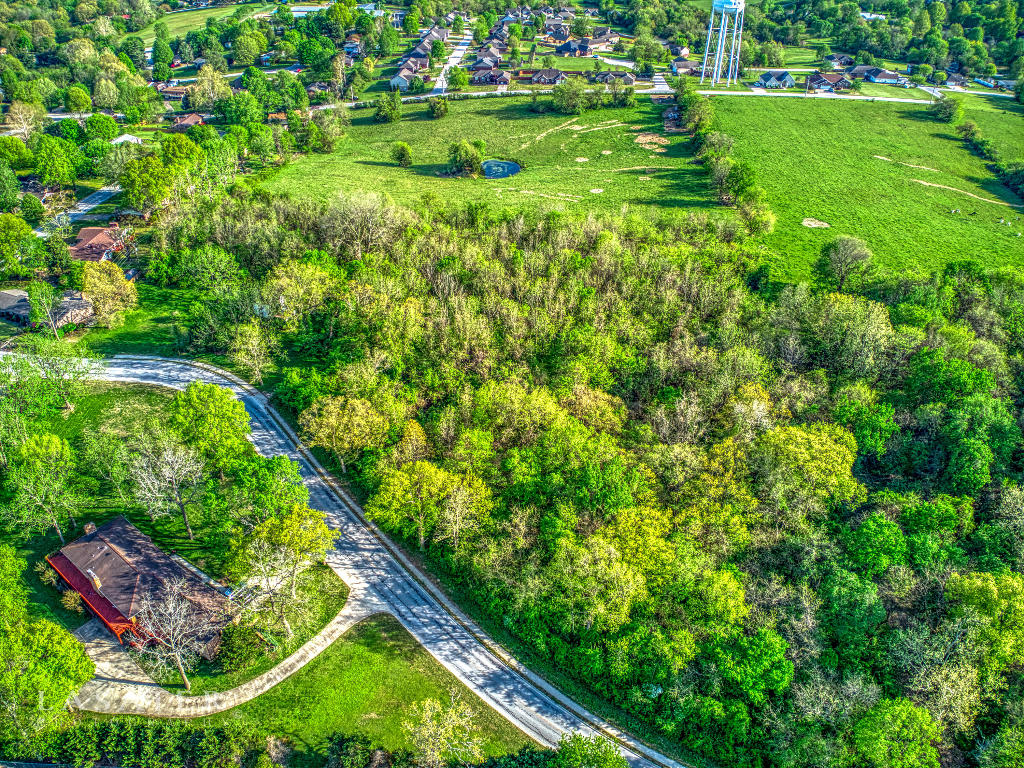 Speer Drive