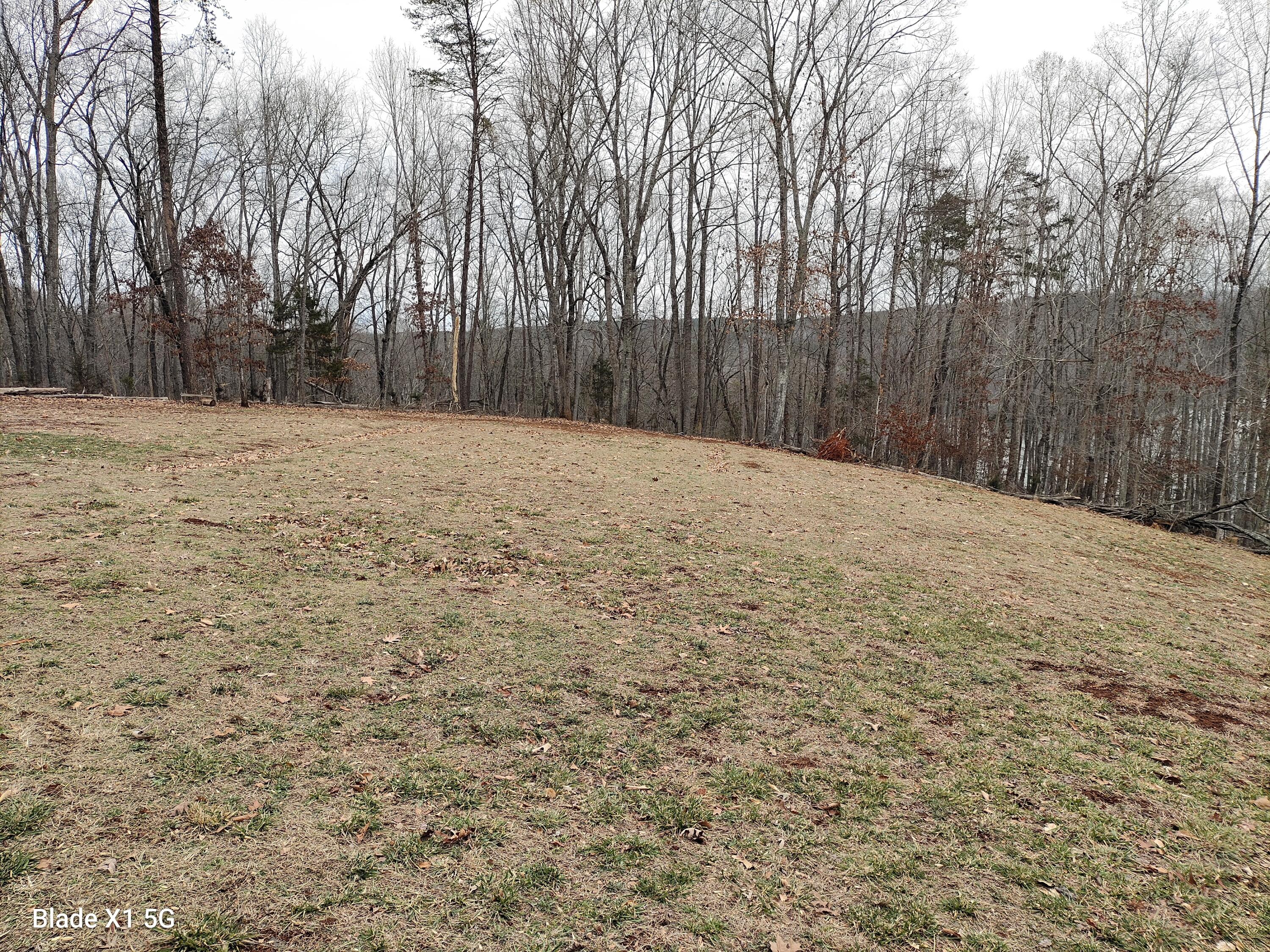 1138 Buck Tail CT