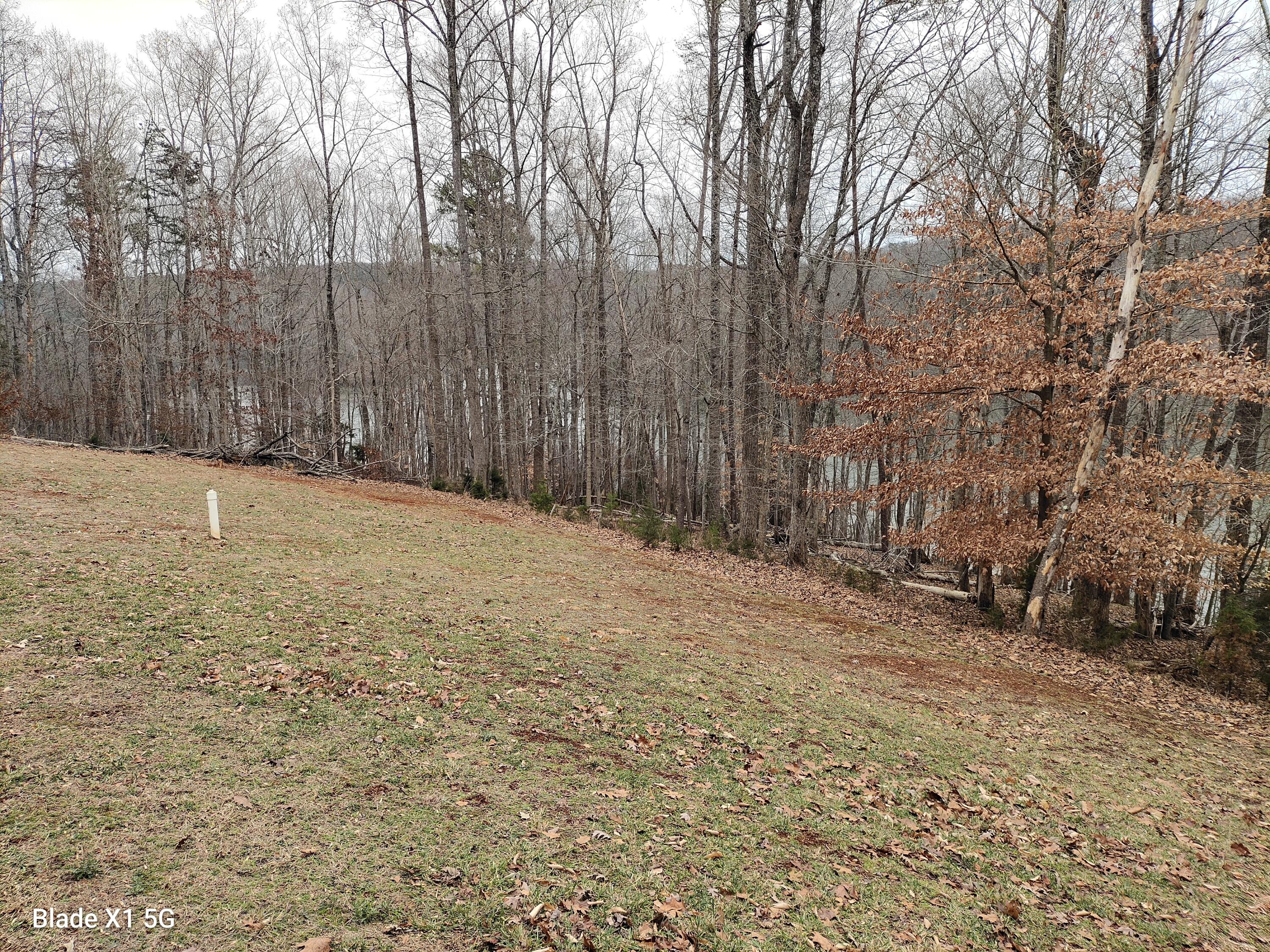 1138 Buck Tail CT