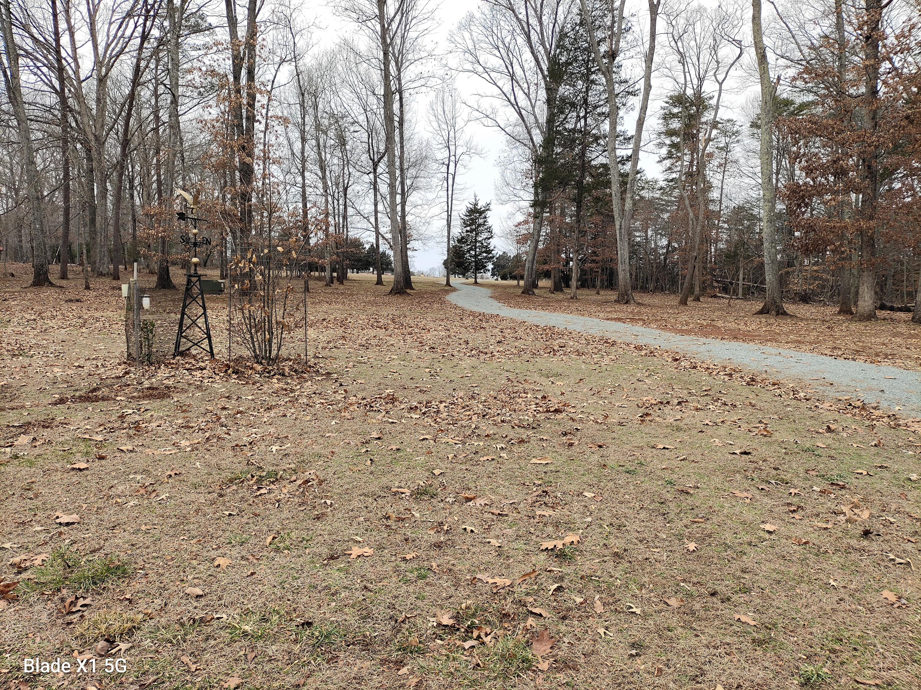 1138 Buck Tail CT