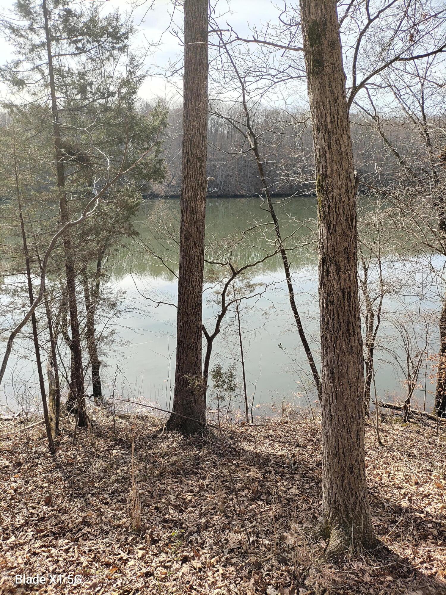 1138 Buck Tail CT