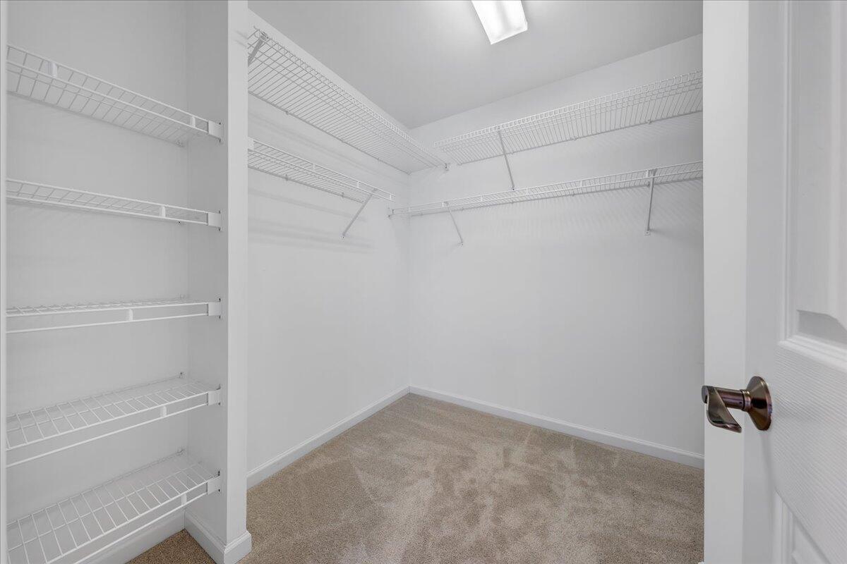 300 Egret DR