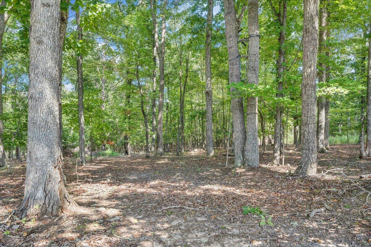 3164 Tolers Ferry RD