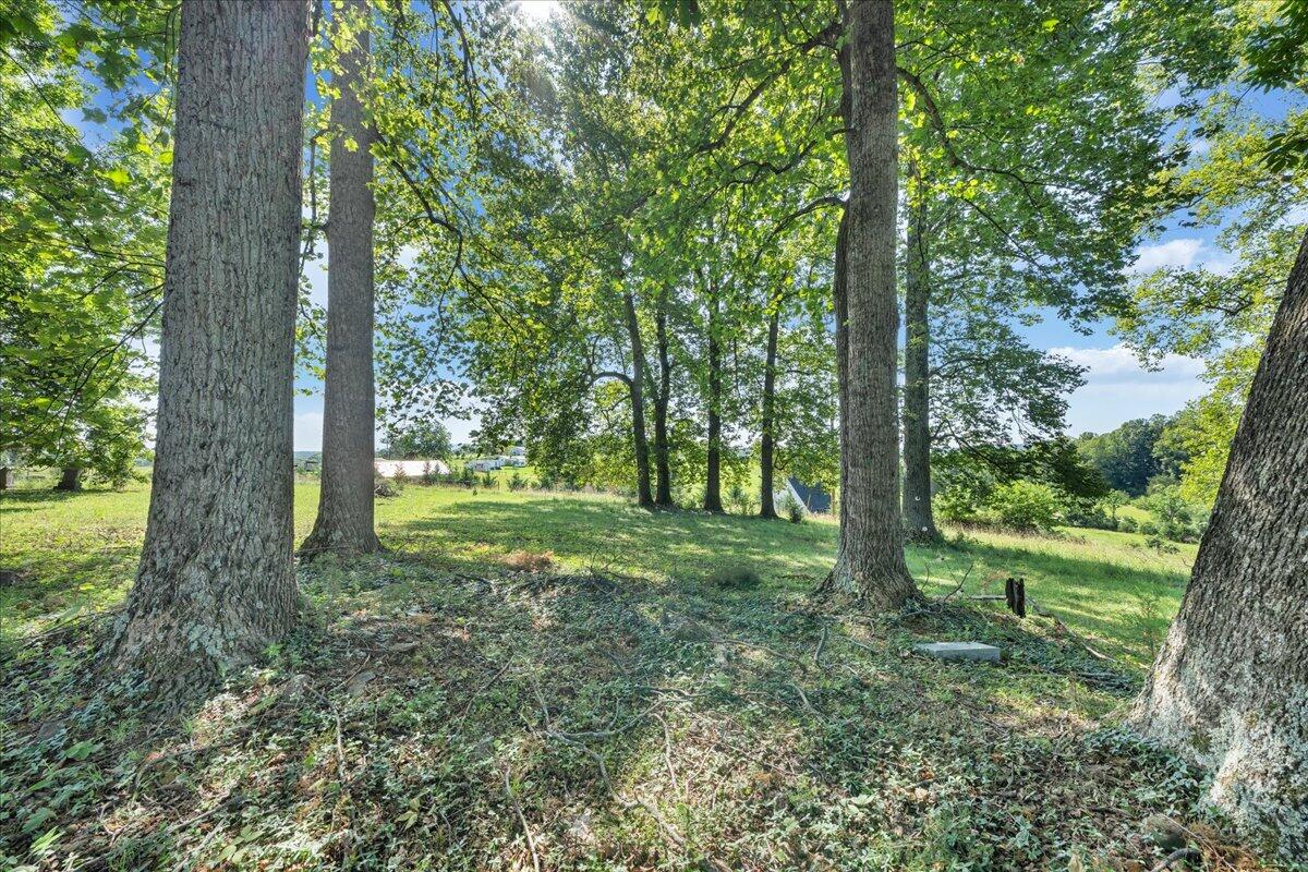 86 Long Horne RD