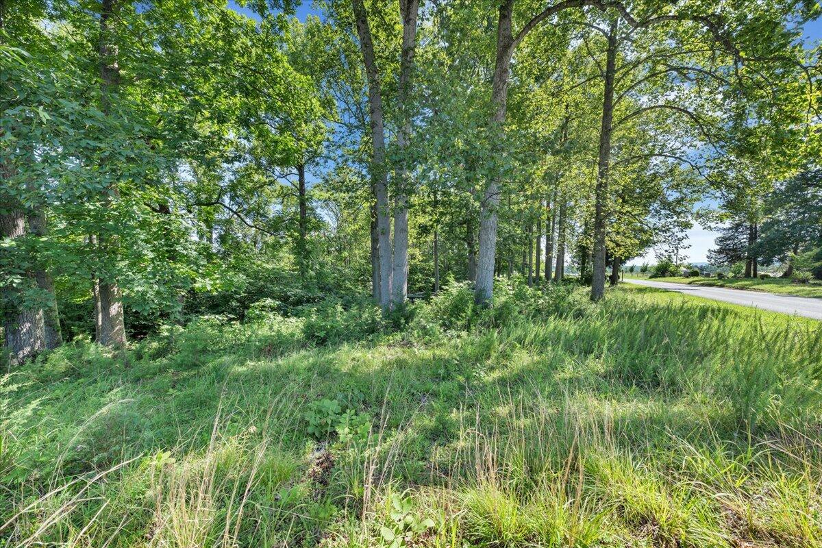 86 Long Horne RD