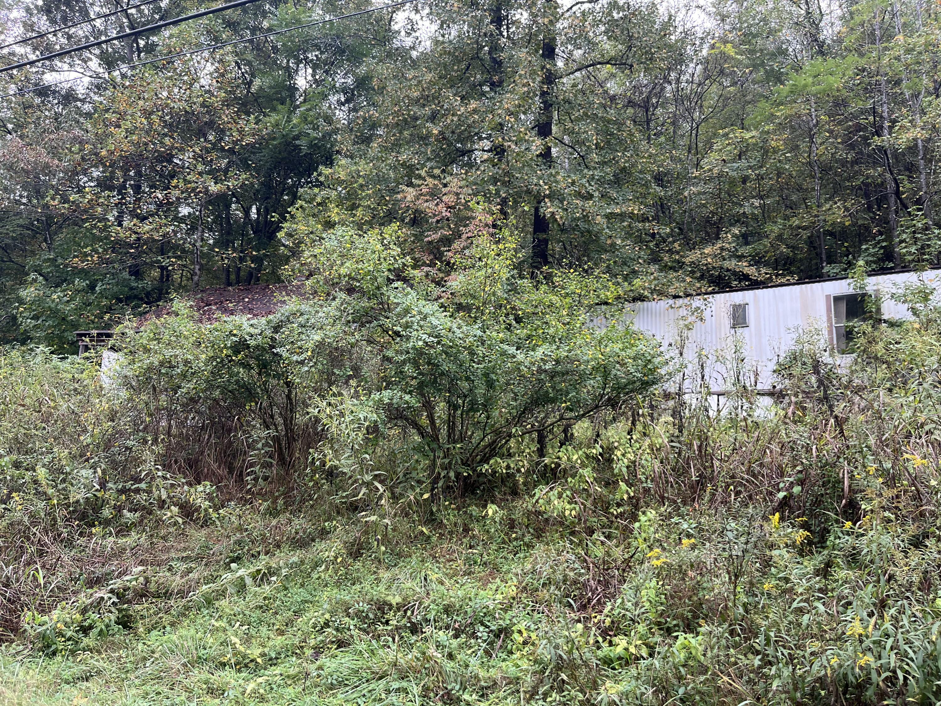 10685 Hardy RD