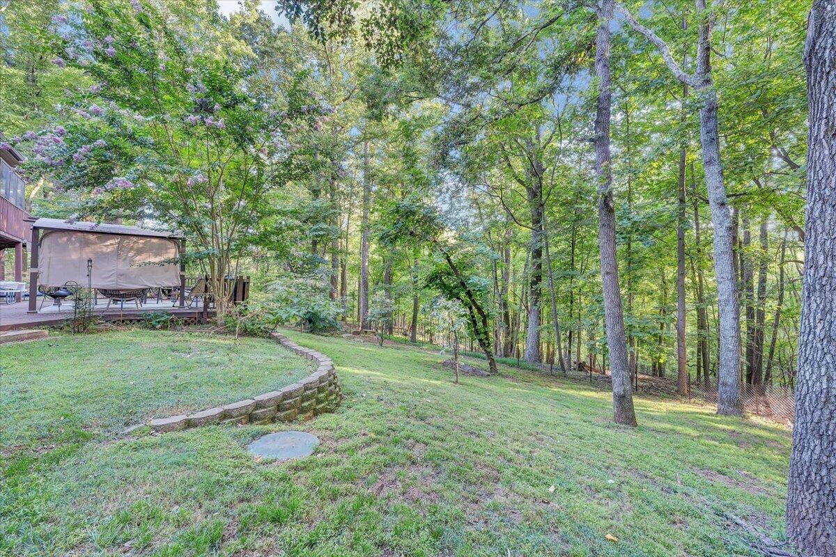 310 Saddleback TRL