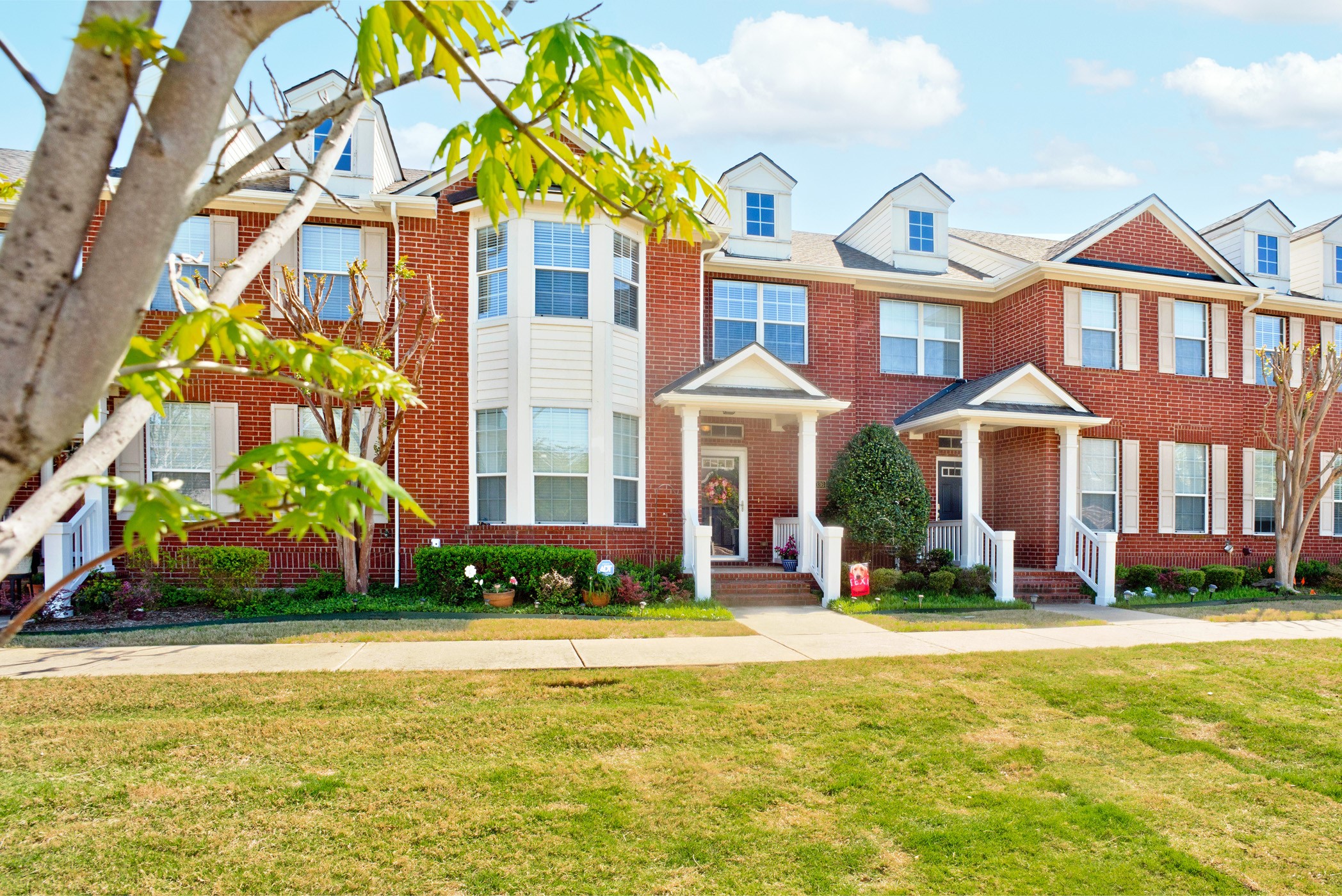 8036 Mimosa Drive
