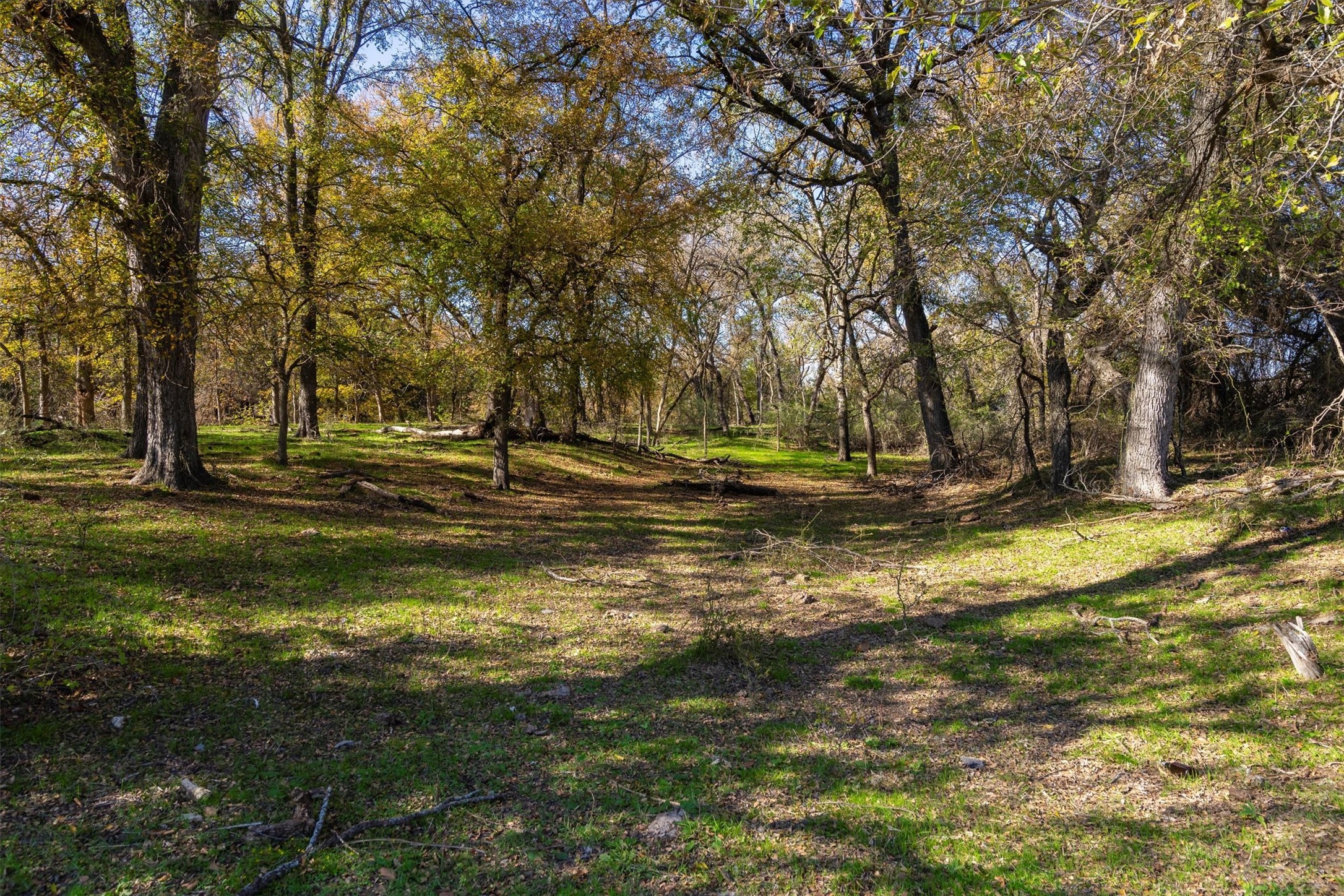 7449 Old Granbury Road
