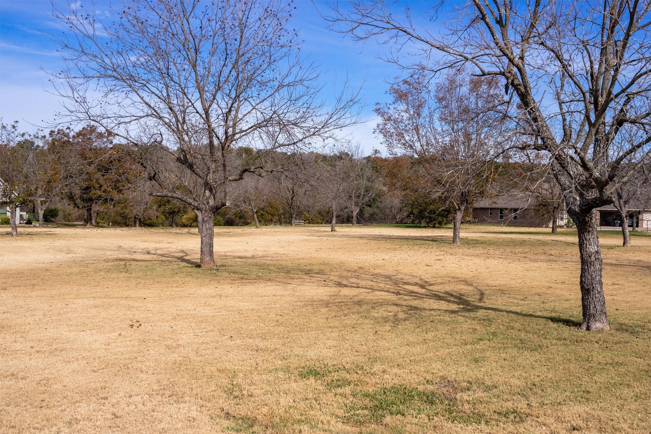 10056 Orchards Boulevard