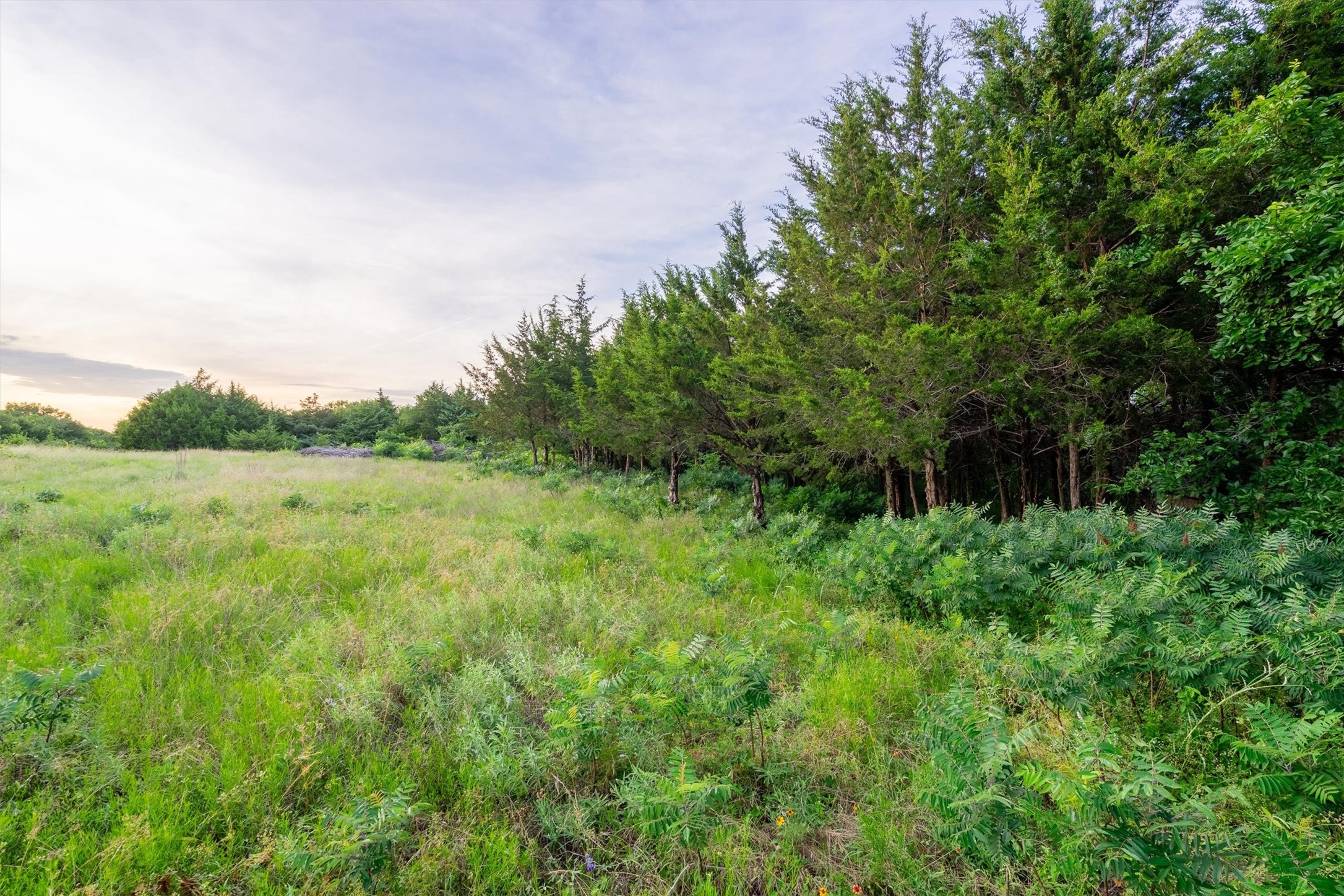 925 Walter Stephenson Road