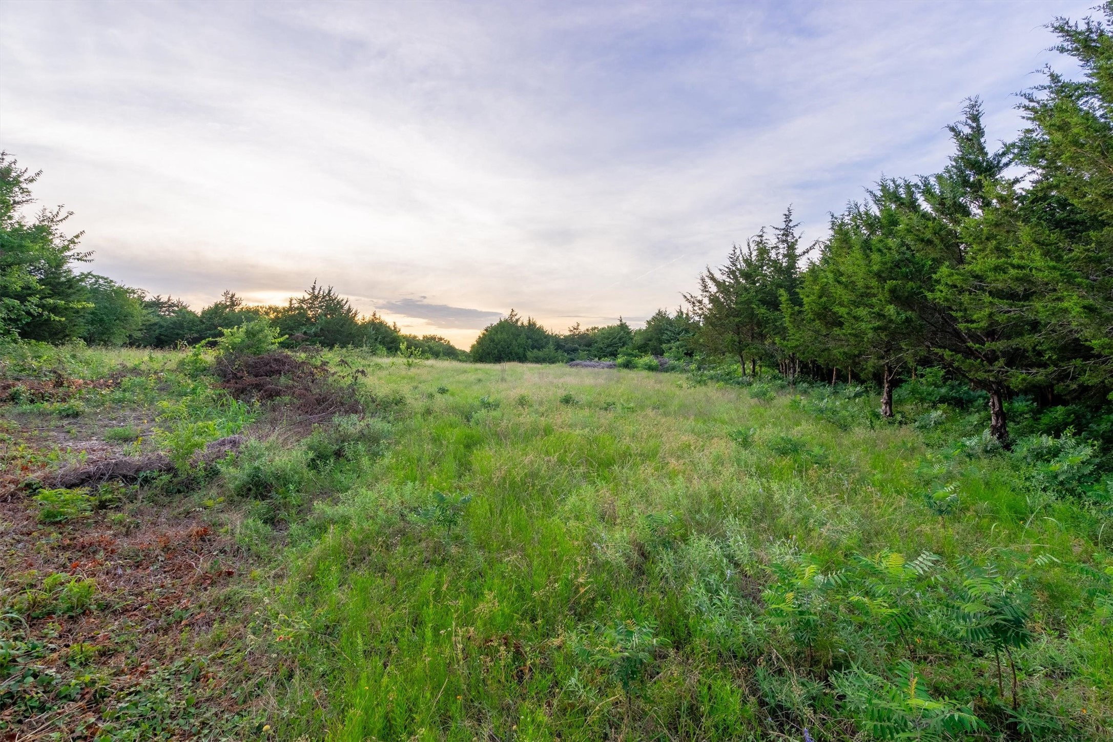 925 Walter Stephenson Road