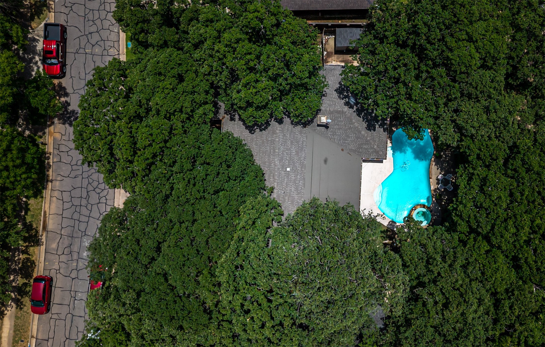 1822 Holm Oak Street