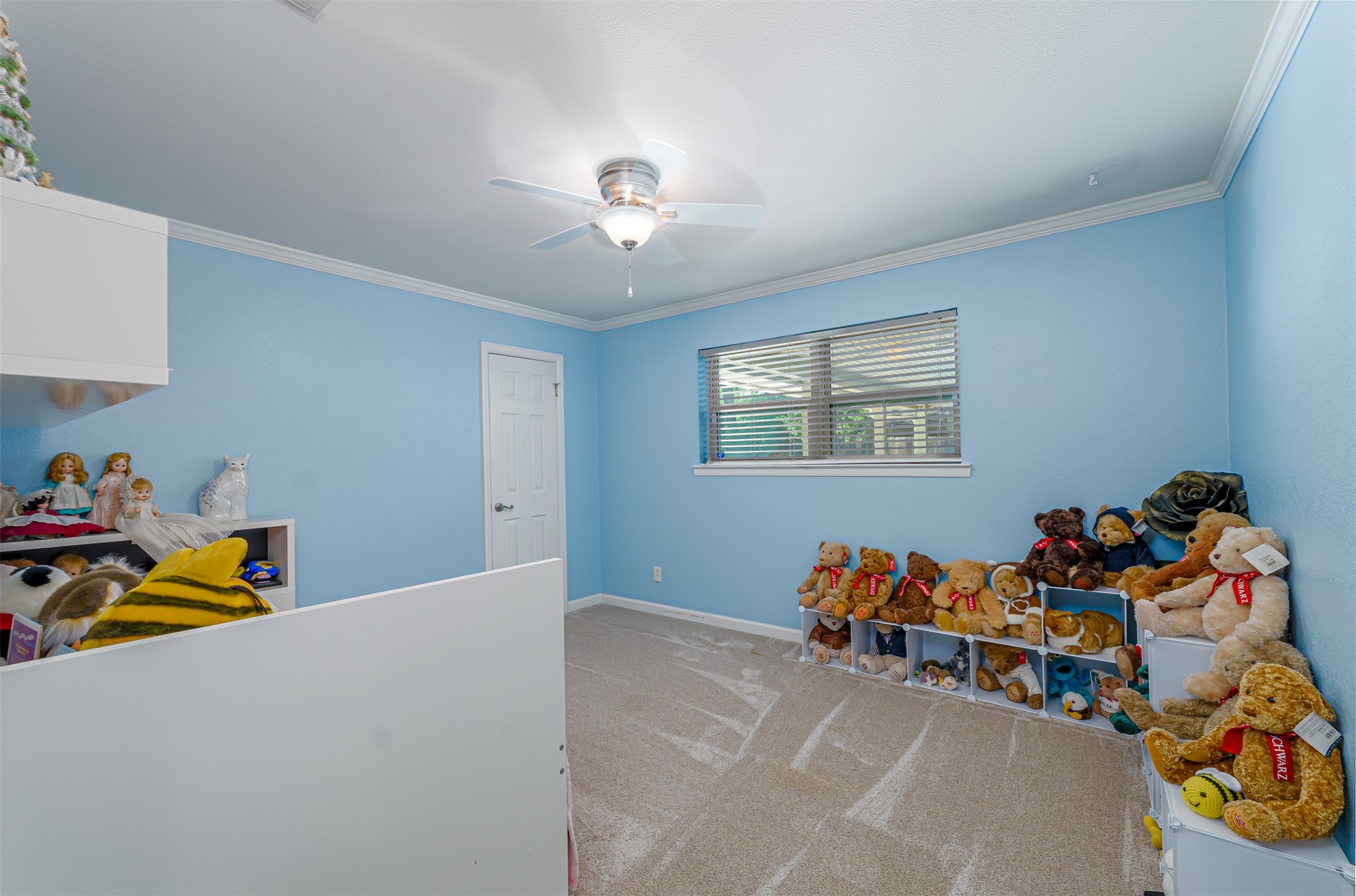 1822 Holm Oak Street