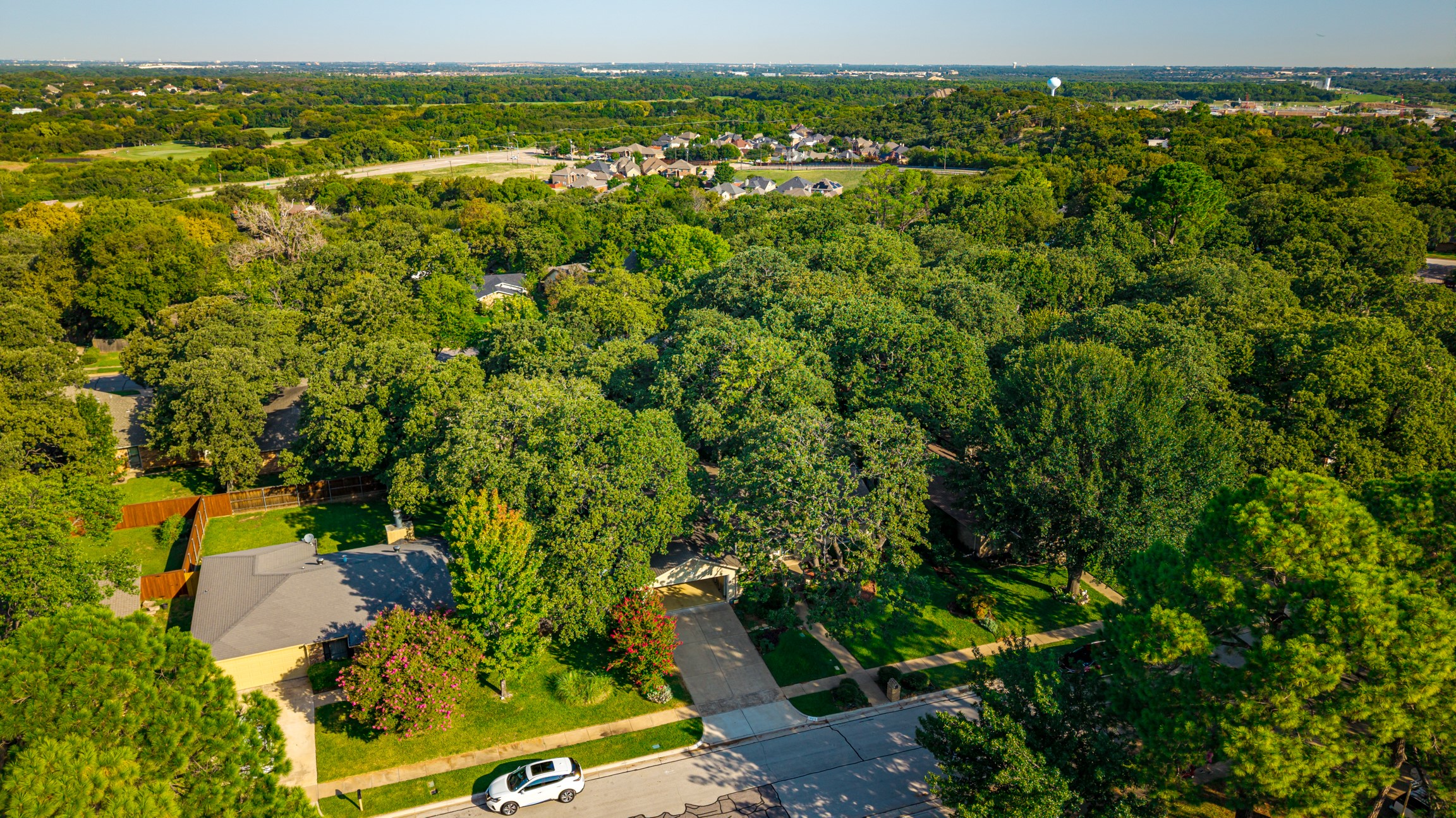 1810 Holm Oak Street