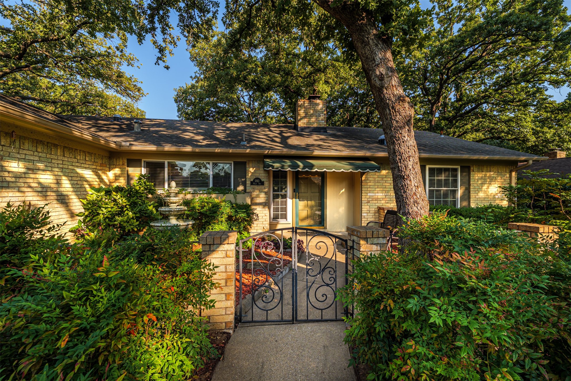 1810 Holm Oak Street