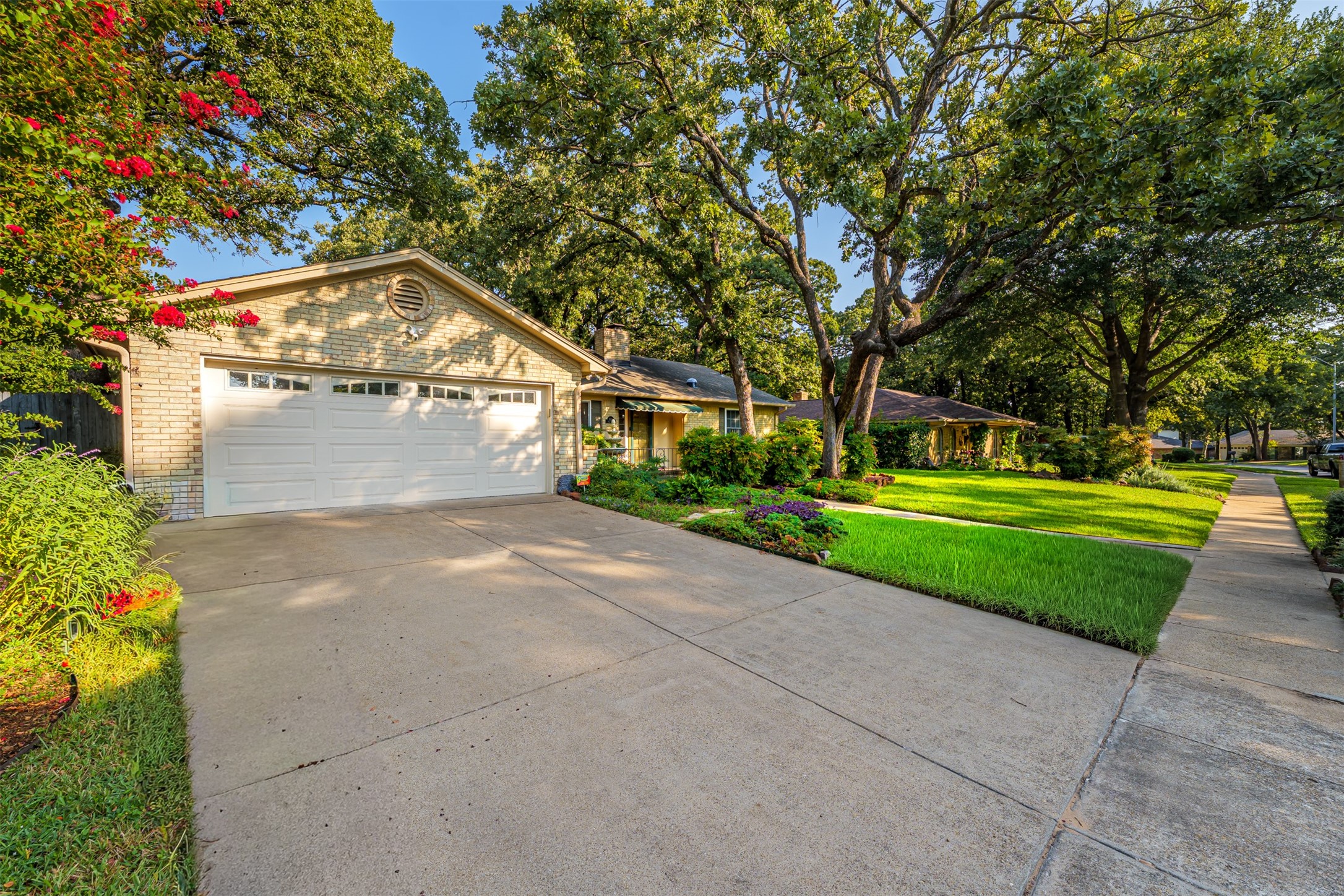 1810 Holm Oak Street