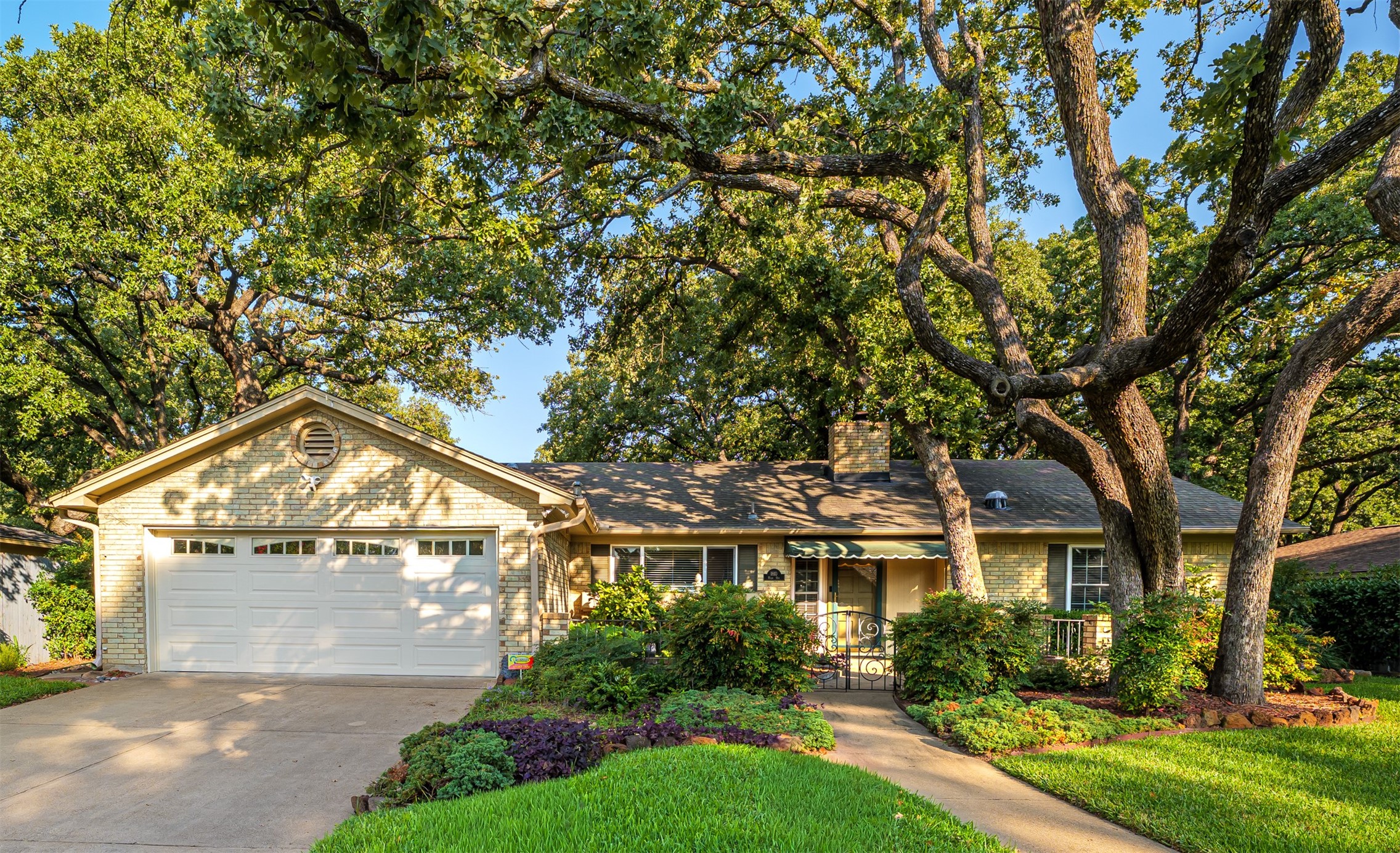 1810 Holm Oak Street