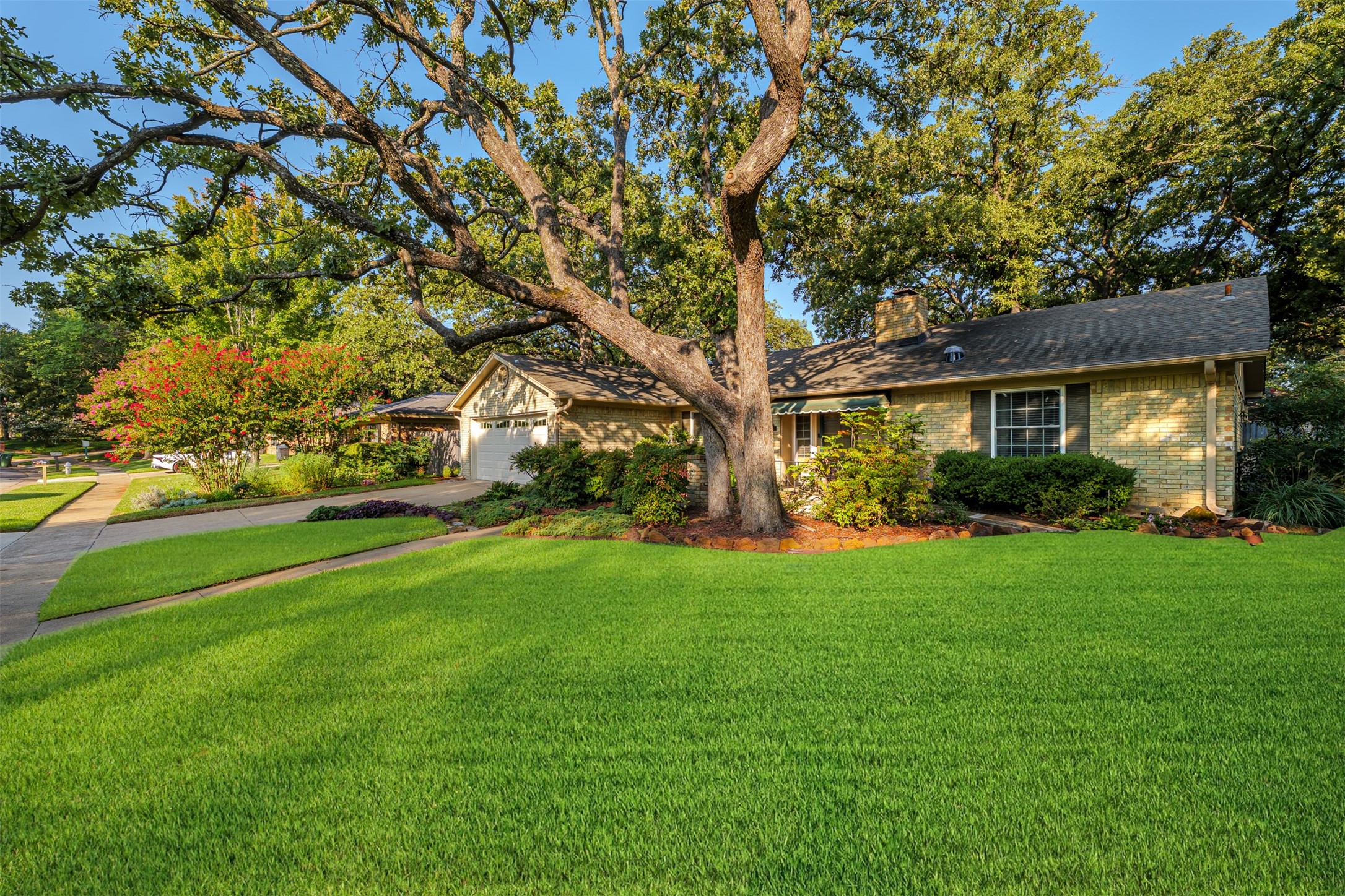 1810 Holm Oak Street