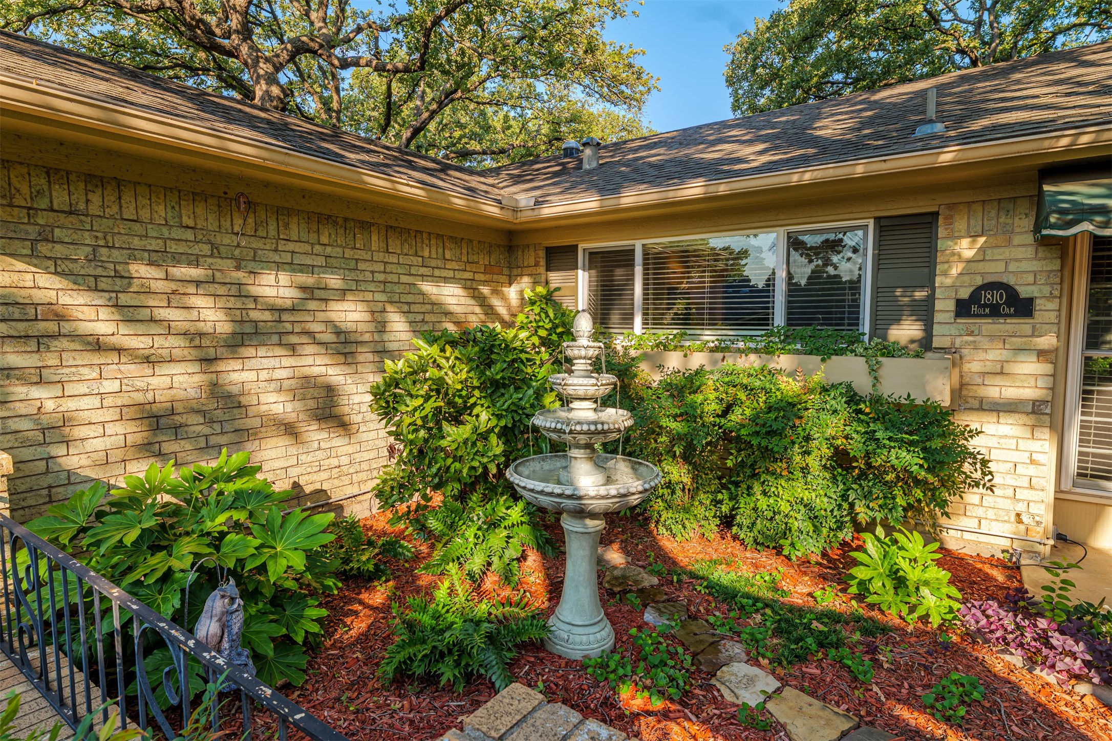 1810 Holm Oak Street