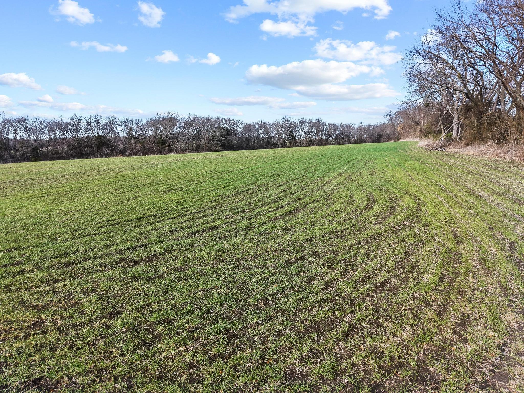 225 Caleb Road