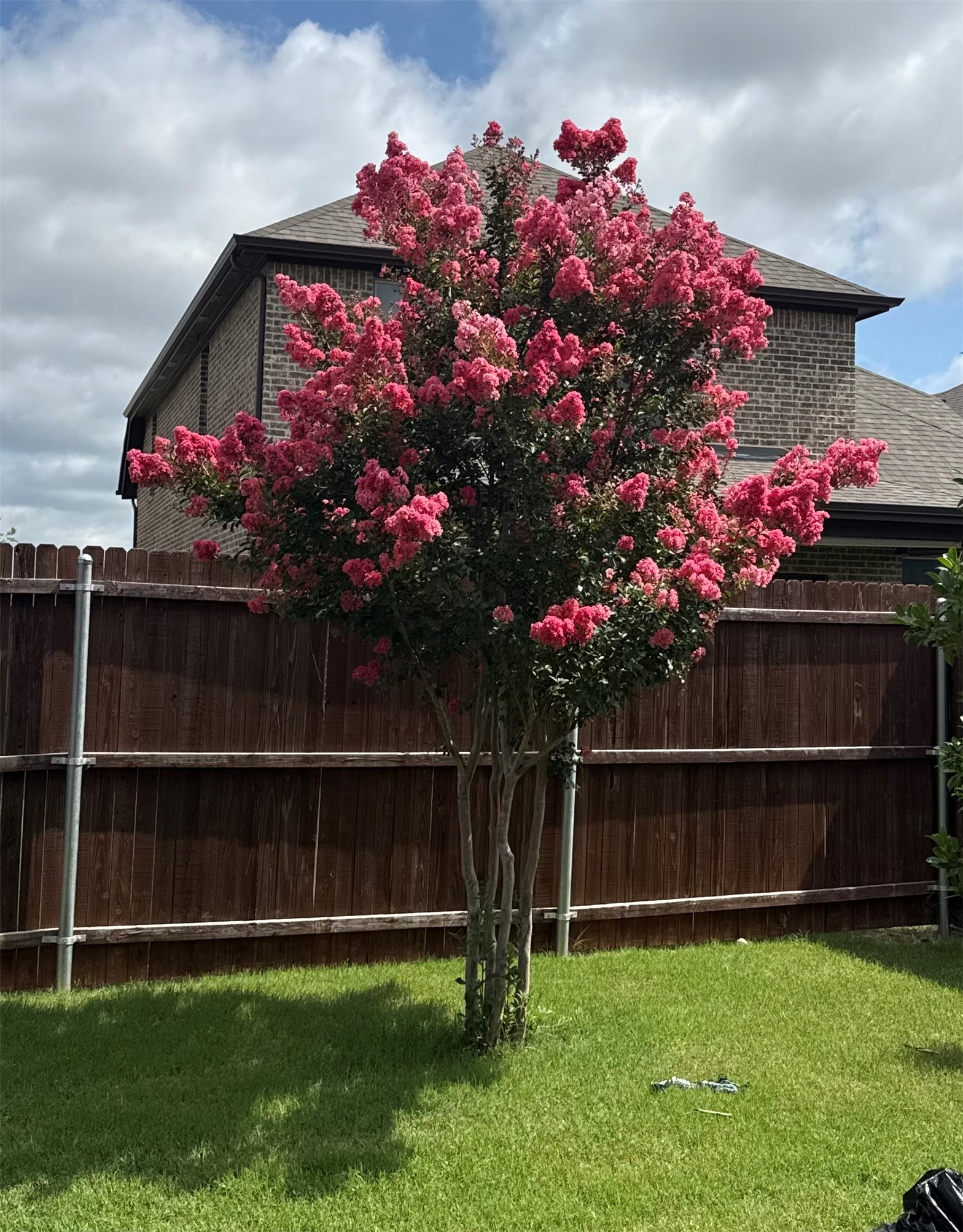 14932 Nightmist Road