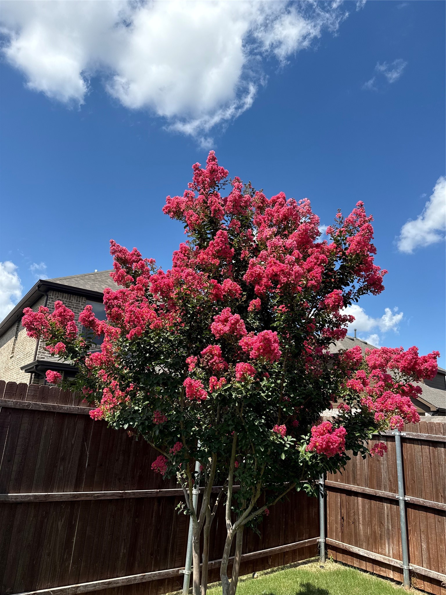 14932 Nightmist Road