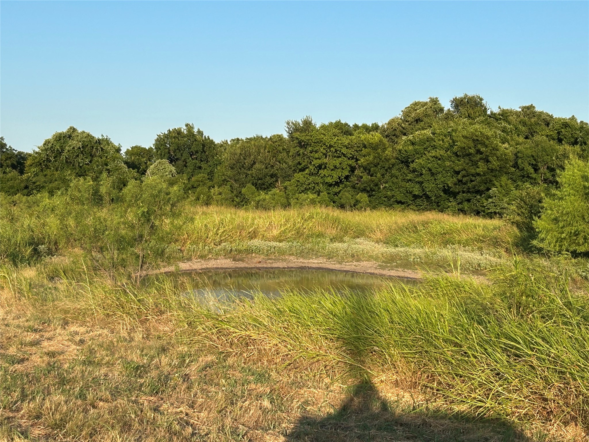 1475 County Road 3838