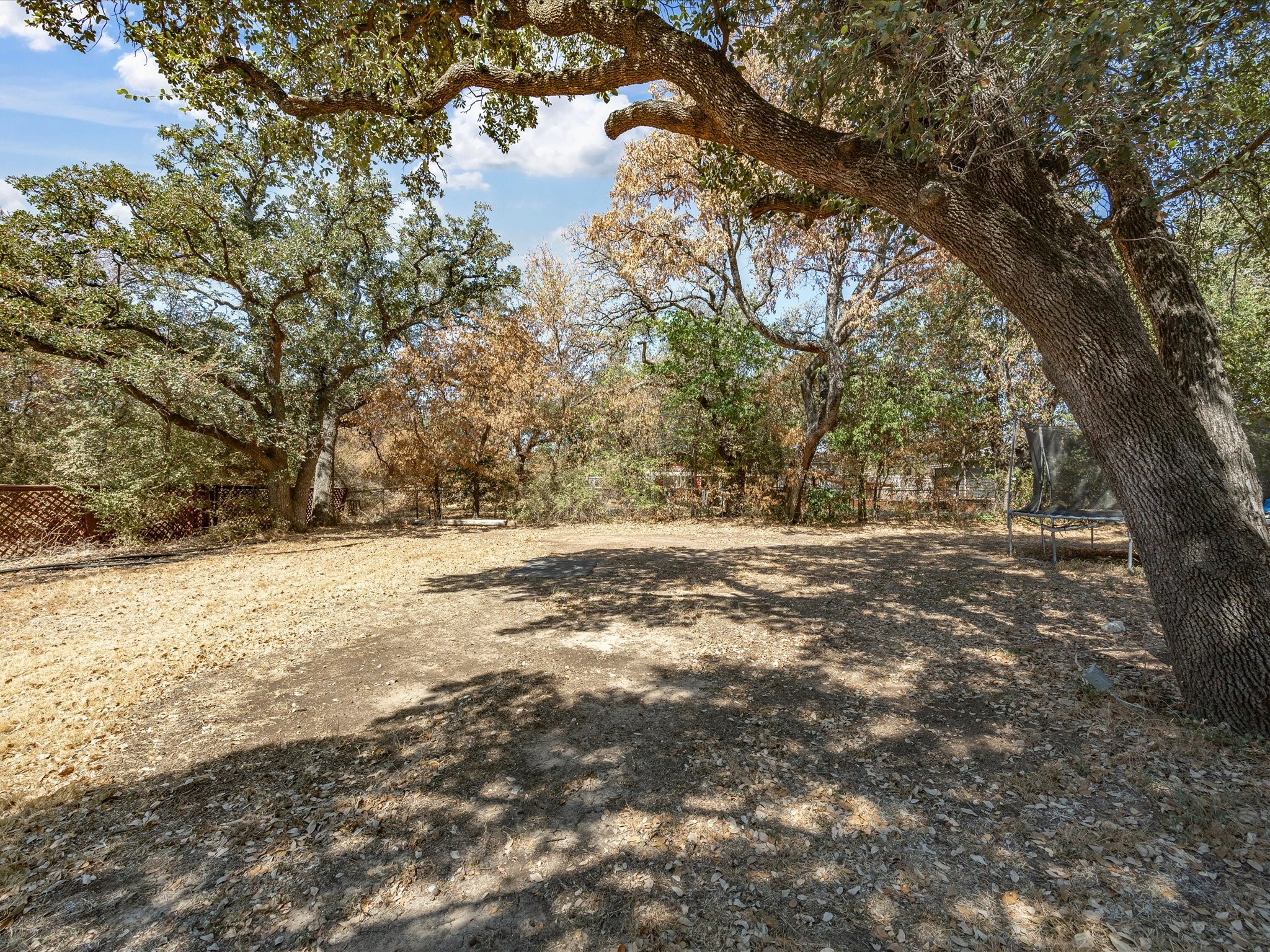 7905 Ella Young Drive