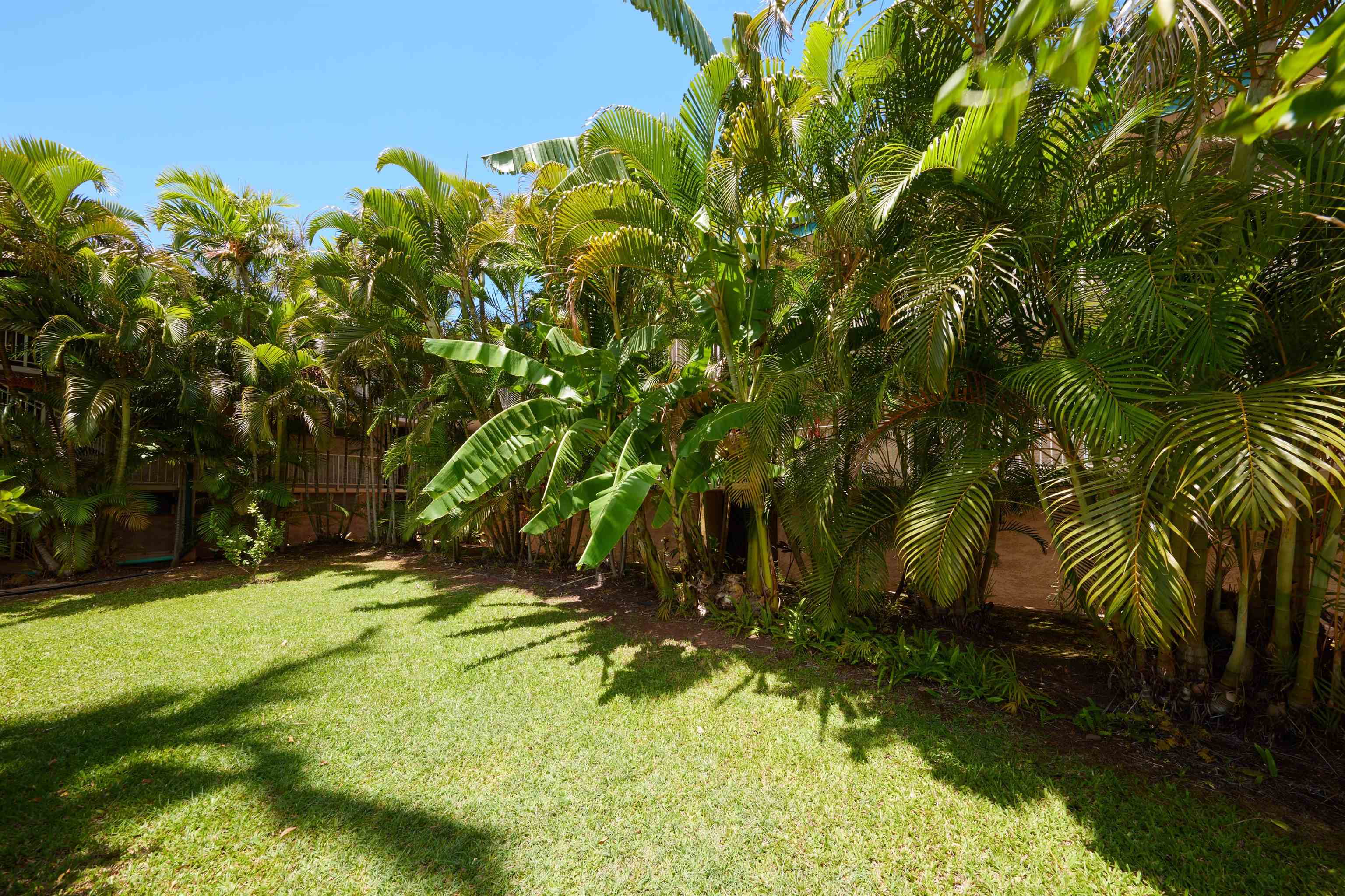 35 Walaka St Unit L306